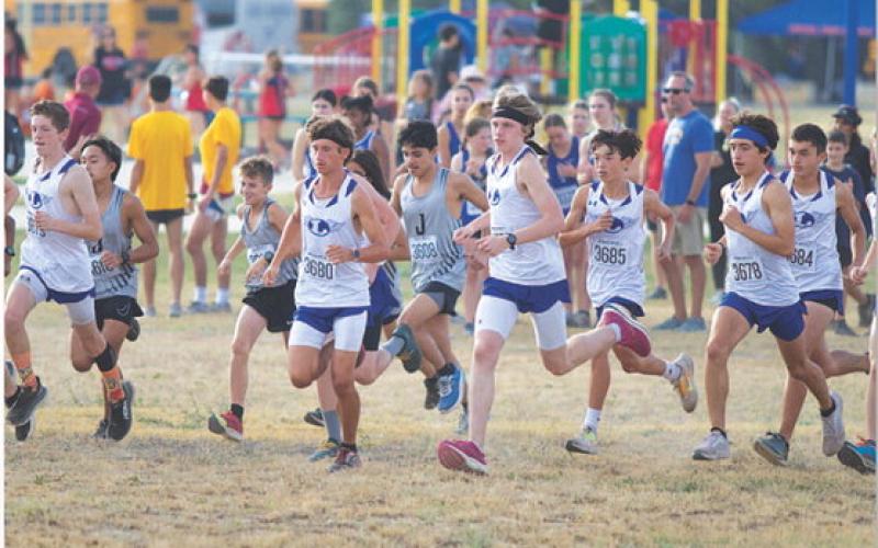 The Lampasas boys’ cross country team takes of from the start line at the Badger home meet on Thursday. HUNTER KING | DISPATCH RECORD