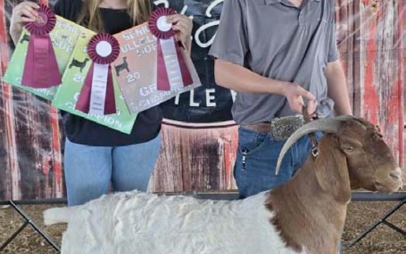 Raising goats has helped build Mason Luna’s work ethic, although he plans to enter a different field after high school graduation. COURTESY PHOTO
