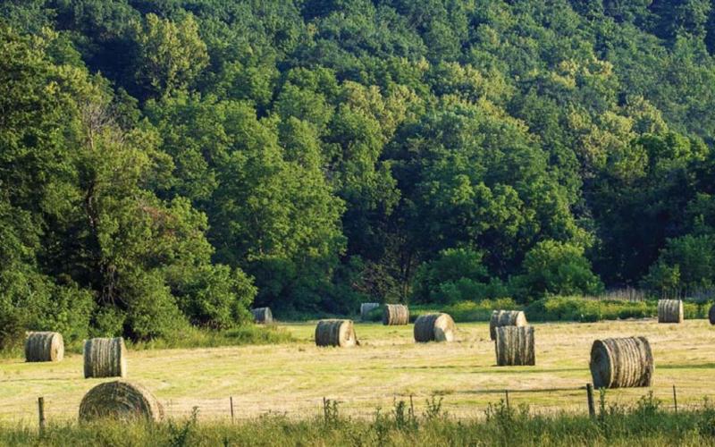 Nationwide shortages and rising costs have affected the agriculture industry. METRO CREATIVE SERVICES