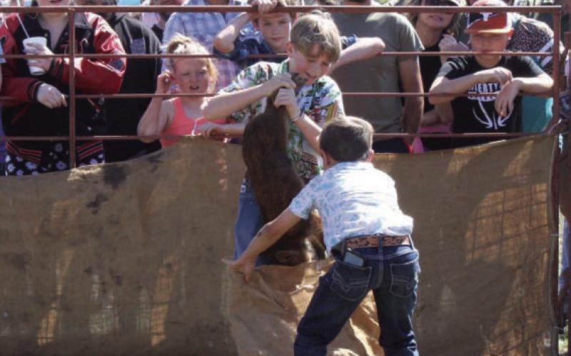 Hog sacking will be a part of Lometa Diamondback Jubilee festivities. Rodeo events, live music and more entertainment is slated to be on tap. FILE PHOTO