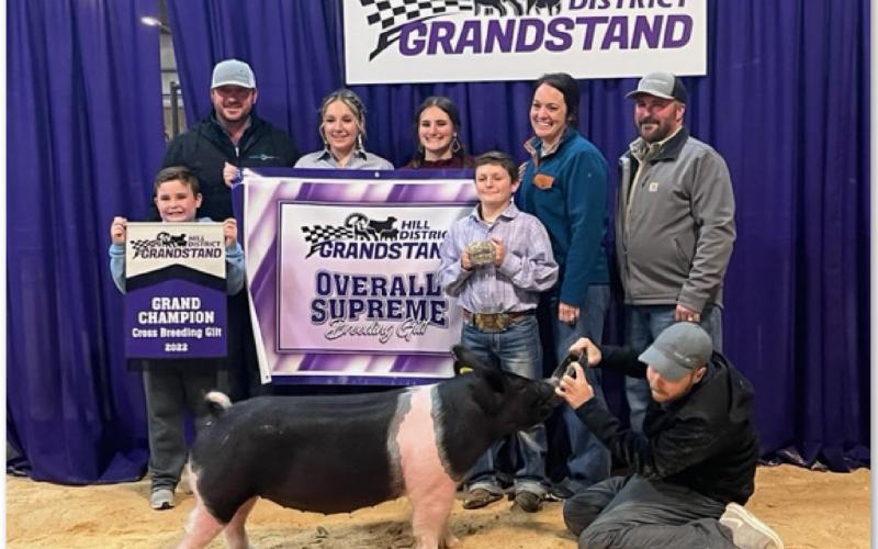 Grand champion breeding gilt named