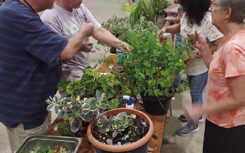 Members of the Highland Lakes Master Gardener Association are knowledgeable about a number of horticulture practices and share that through community service projects. A new class for Master Gardener certification will be offered in February. COURTESY PHOTO
