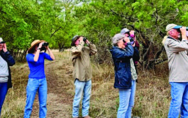 LTX Birders (from left to right) TJ Monroe, Jordan Herbst, Robert Butler, Jimma Byrd, Neal Leavell and Daniel Hodges stand together as they identify and watch a ladder-backed woodpecker, a Downey woodpecker and a red-bellied woodpecker work away at a standing dead tree at Cooper Spring Nature Park. “We never cut down trees here,” Harrell Clary said, “because there is as much life in a dead one as a live one.” JOYCESARAH MCCABE | DISPATCH RECORD
