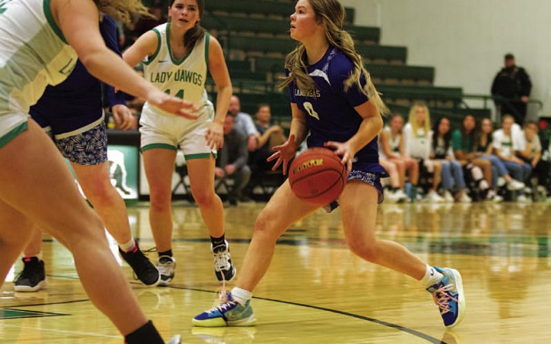Addison Borchardt stops to pull up from just inside the three-point line. HUNTER KING | DISPATCH RECORD
