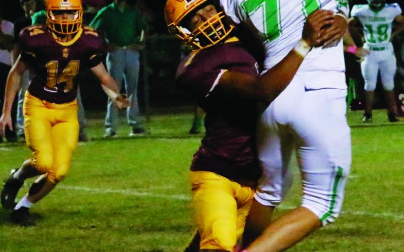 Leonel Caso (7) pressures the quarterback while Colton Whitehead (14) pursues the play MASON HINES | DISPATCH RECORD