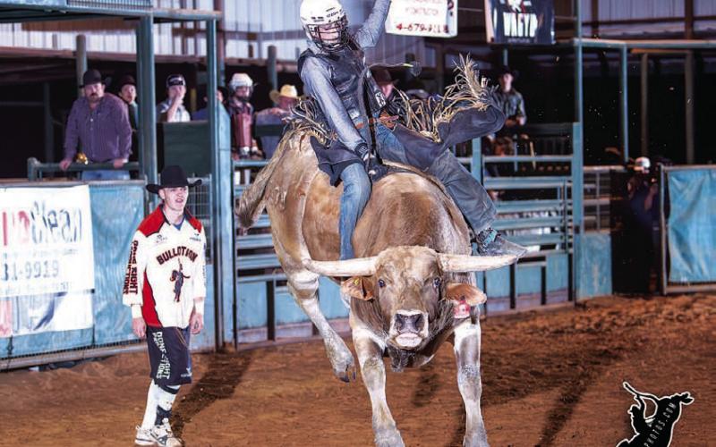 Plenty of bull riding action was available at the rodeo event last weekend at Bar 17 Arena. COURTESY PHOTO | LEE LETZER