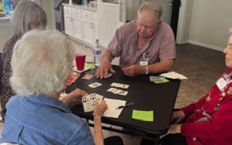 Bridge players, clockwise from bottom left, Debra Hull, Christine Vann, Tom Casbeer and Barbara Hampton were among those who gathered for Community Bridge. The next play date is May 11. COURTESY PHOT0