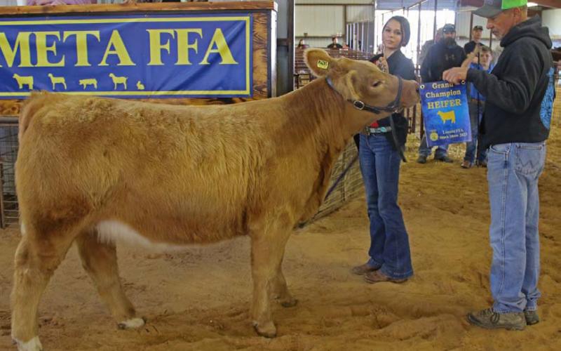 The grand champion heifer was shown by Bailey Mask. MASON HINES | DISPATCH RECORD