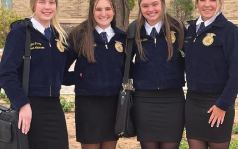 Team places third at state FFA contest