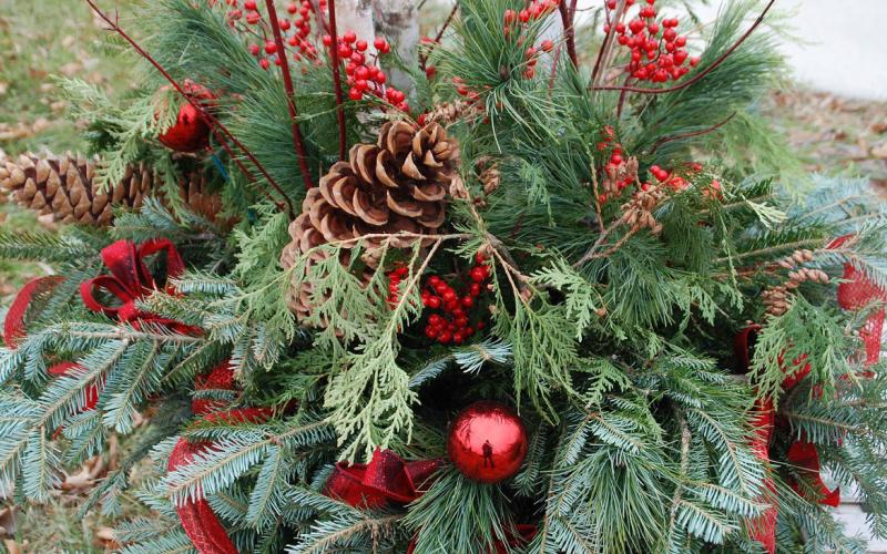 Winter container gardens made of natural materials add beauty and color to the winter landscape. COURTESY PHOTO | MELINDAMYERS.COM