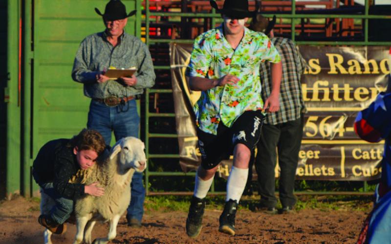 Youngsters attempted to hold on for a sheep ride in Friday’s mutton bustin’ event at the annual Diamondback Jubilee. ERICK MITCHELL | DISPATCH RECORD