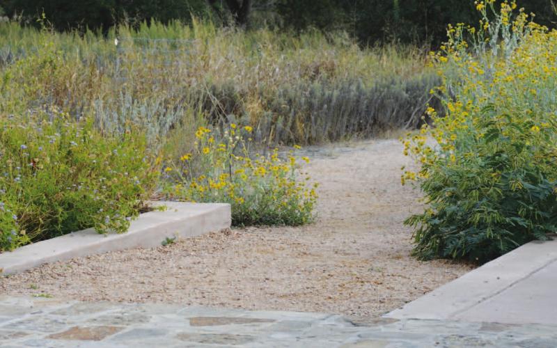 A walking path such as this one at Cooper Spring Nature Park is what Forward Lampasas members envision for the cleared area that lines Sulphur Creek. The intent is to use decomposed granite to create a six-foot-wide pathway from Western Avenue to the Fourth Street bridge. ERICK MITCHELL | DISPATCH RECORD