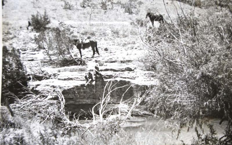A love for horses came naturally and early for Ronny Bumpus. Here, he and his brother John Robert Bumpus are fishing on Lucy Creek near Adamsville on July 4, 1953. “We’d ride our horses over there and fish all day,” Ronny Bumpus said. The horse on the left was named Ginger and was ridden by John Robert. Ronny’s horse Baby Doll stands in the background. Courtesy photo