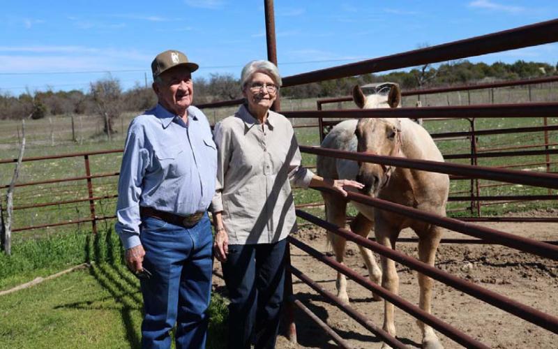Ronny and Sue Ellen Bumpus have spent over 50 years investing themselves in the raising, training and breeding of quality horses. They are being recognized in March by the American Quarter Horse Association as a Legacy Breeder. JOYCESARAH MCCABE | DISPATCH RECORD
