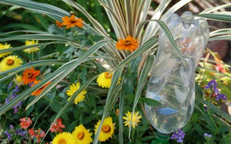 Water or wine bottles can be combined with commercial products to help regulate the flow of water to container gardens while the family is away on vacation. MELINDAMYERS.COM | COURTESY PHOTO
