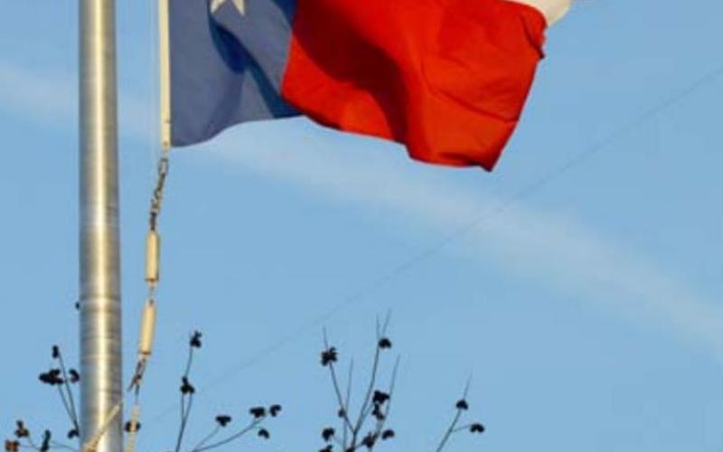 This Texas flag flies over a pecan tree, the official state tree. FILE PHOTO