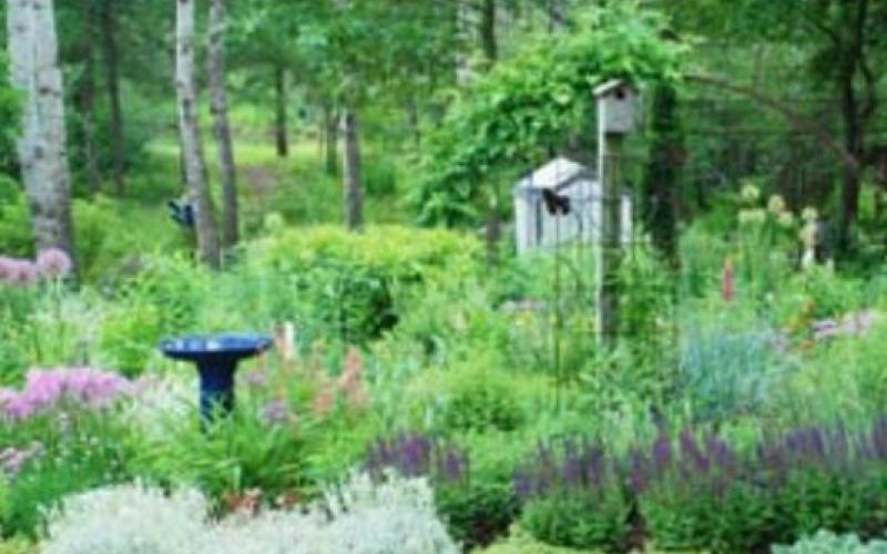 Include habitat features in your garden and landscape that are needed to attract and sustain the wildlife you are trying to benefit. MELINDAMYERS.COM | COURTESY PHOTO
