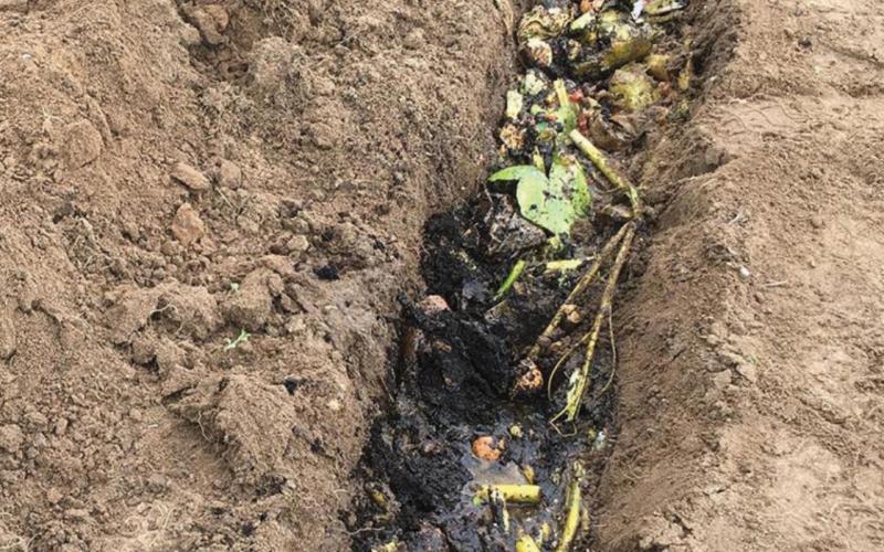 Trench composting, a centuries-old technique, is low maintenance, effective, eliminates the need to turn piles of plant debris, requires minimal space and doesn’t smell. COURTESY PHOTO | MELINDAMYERS.COM