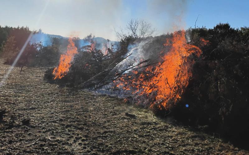 Stop wildfires before they start: summer safety tips offered