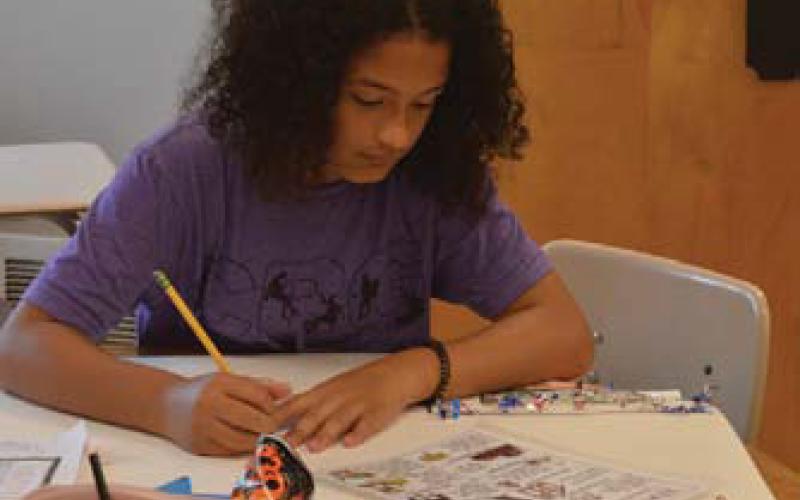 Alice Hollingsworth works on her group’s Bill of Rights poster. Erick Mitchell | Dispatch Record