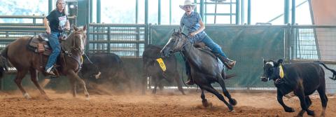 Bar 17 Arena hosts team penning competition