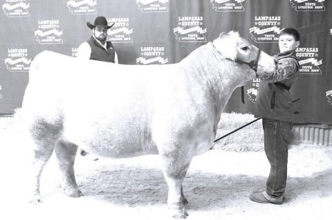 JOYCESARAH MCCABE | DISPATCH RECORD Cort Maples was the junior showmanship winner at this year’s cattle show.
