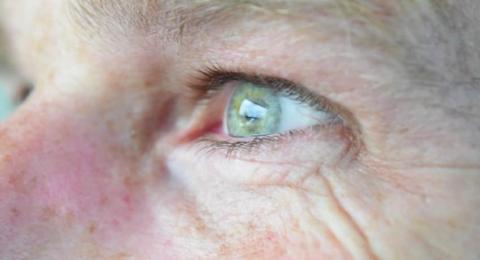 For those with an Alzheimer’s diagnosis, the future may seem to be a downhill fight for mental clarity, but new research is suggesting it doesn’t have to be that way. Inn. ALEXANDRIA RANDOLPH MURRELL | DISPATCH RECORD