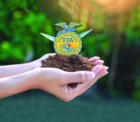 Students discuss the meaning behind FFA