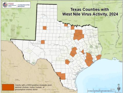 This Texas Department of Health and Human Services graphic shows counties in which West Nile Virus activity has been noted in 2024. COURTESY GRAPHIC | TEXAS DEPARTMENT OF HEALTH AND HUMAN SERVICES