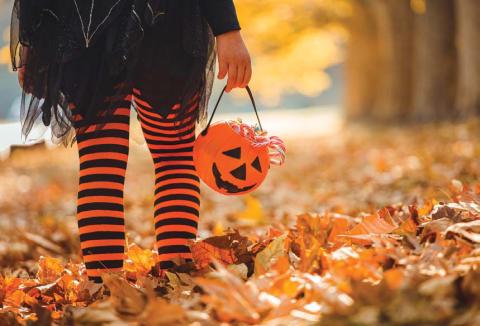 Writer/fitness specialist Alexandria Randolph has thrown in a little humor with her workout advice this month so residents can keep up with -- or keep away from -- the ghouls and goblins on Halloween. metro creative graphics photo