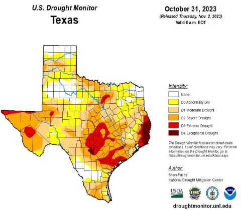 Recent rain eases drought