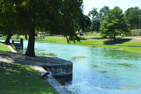 A petition has garnered attention for opening Sulphur Creek at W.M. Brook Park for swimming. ERICK MITCELL | DISPATCH RECORD