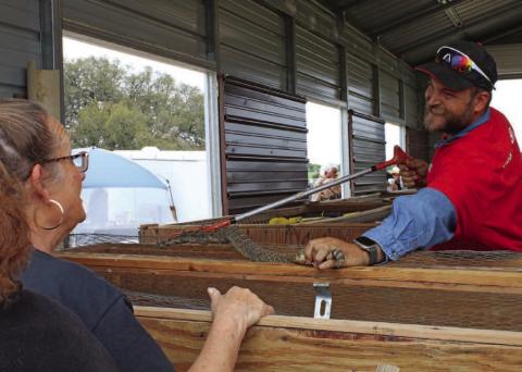 Snake volunteer Mac Pauly offers Lometa resident Ponice Medders a closer look of Saturday’s rattlesnake attraction. For more photos from the Diamondback Jubilee and rodeo results, see page 3. MASON HINES | DISPATCH RECORD