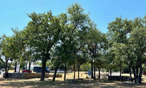 Cook Cemetery is tucked up underneath the trees beside a busy Lampasas roadway. It is an important part of local history. Joycesarah McCabe | Dispatch Record