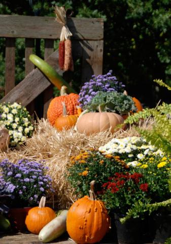 An autumn display of mums, straw bales, pumpkin and ornamental squash dress up this landscape. courtesy photo | melindamyers.com