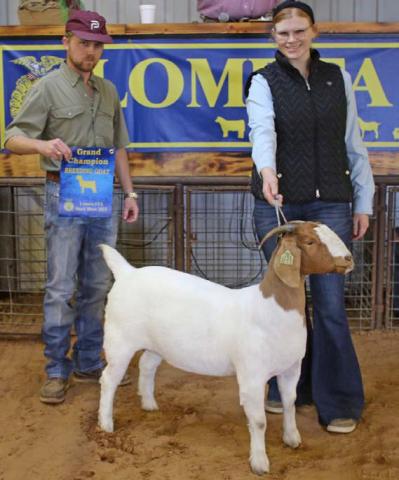 Casey Stevens showed the grand champion breeding goat at Saturday’s show. She also earned the senior showmanship award. MASON HINES | DISPATCH RECORD