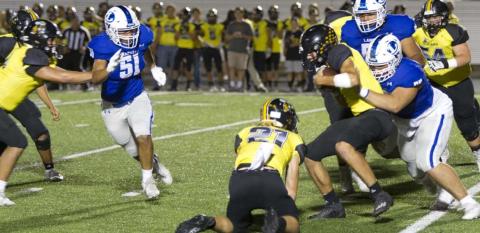 Badgers, Hornets both prevail in football