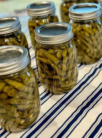 A great way to preserve the nutrition and fresh taste of gardengrown green beans is to can them in a pressure canner. These green beans have just been canned, and once the rings are sealed they will be ready to be stored for later use. joycesarah mccabe | dispatch record