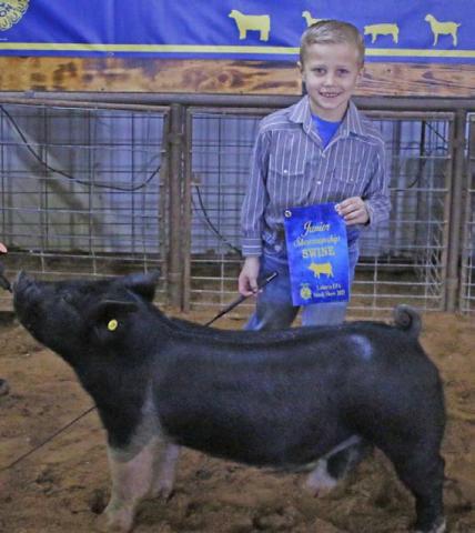 Holt Bumpas was named the junior swine showman. MASON HINES | DISPATCH RECORD