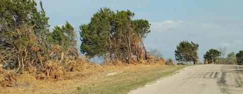 County Road 2001 is one Commissioner Jamie Smart said is in need of improvements. COURTESY PHOTO