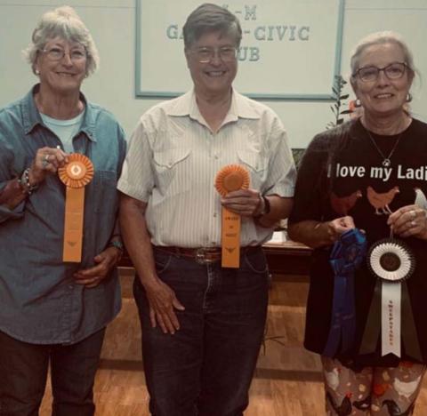 Earning special awards at the L-M Garden Club’s annual flower show were, from left to right, Val Cash, Award of Merit for her airplane plant; Sue Anderson, Award of Merit for her amaryllis; and Tico Hicks, Best in Show Design Class. Hicks also was the Sweepstakes winner after earning 15 blue ribbons at the show. COURTESY PHOTO