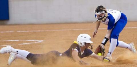 Lady Badger softball players earn all-distric