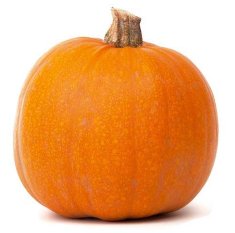 Trunk-or-Treats and fall festivals abound in October