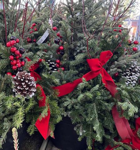 Containers filled with greenery, colorful stems, cones, berries and more can brighten the landscape all winter long. COURTESY PHOTO | WWW.MELINDAMYERS.COM