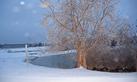 A snow-ice mixture covers the ground at the 580 Sports Park near a pond and a walking trail on Saturday. JEFF LOWE | COURTESY PHOTO