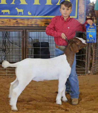 Wyatt Tucker was named the junior market goat showmanship winner on Saturday. MASON HINES | DISPATCH RECORD