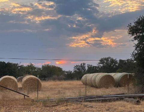 Farm Bureau names photo contest winner