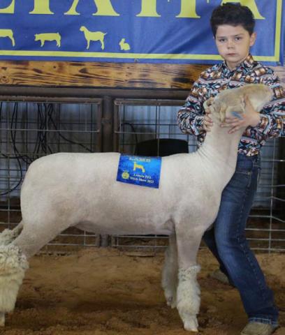 Jack Duncan was named the 2023 junior market lamb showmanship winner at the Lometa FFA Stock Show. MASON HINES | DISPATCH RECORD