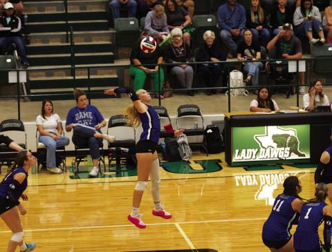 HUNTER KING | DISPATCH RECORD Brylie Turner leaps to spike the ball over the net against Burnet.