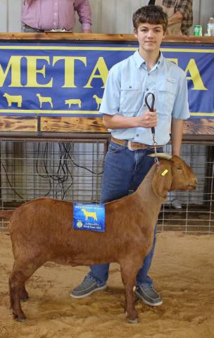 Carson Brister earned the title of intermediate breeding goat showman. MASON HINES | DISPATCH RECORD